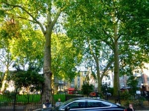 HoxtonSquare